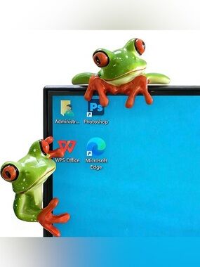 Funny Frogs 2 PCS Resin Decor Frog Gift Figurine Decorations plant Accessories